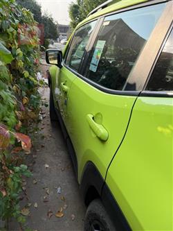 جيب رينيجيد